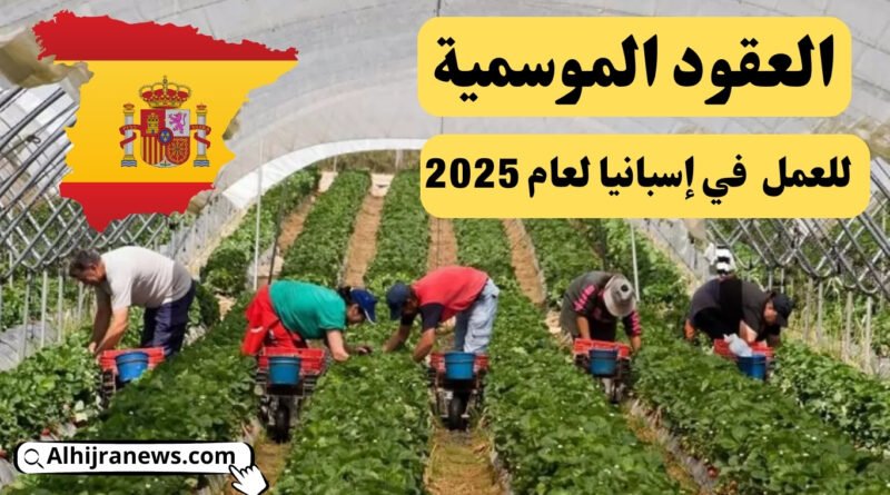 العقود الموسمية للعمل في إسبانيا لعام 2025