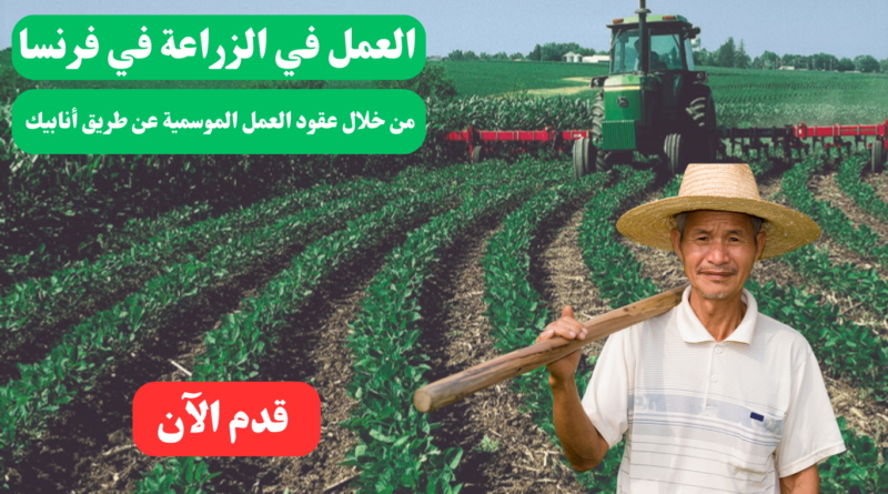 العمل في الزراعة في فرنسا 2024 من خلال عقود العمل الموسمية عن طريق أنابيك